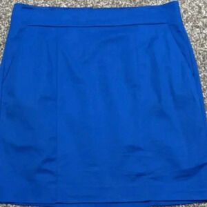 Ann Taylor Madison Skirt 6
